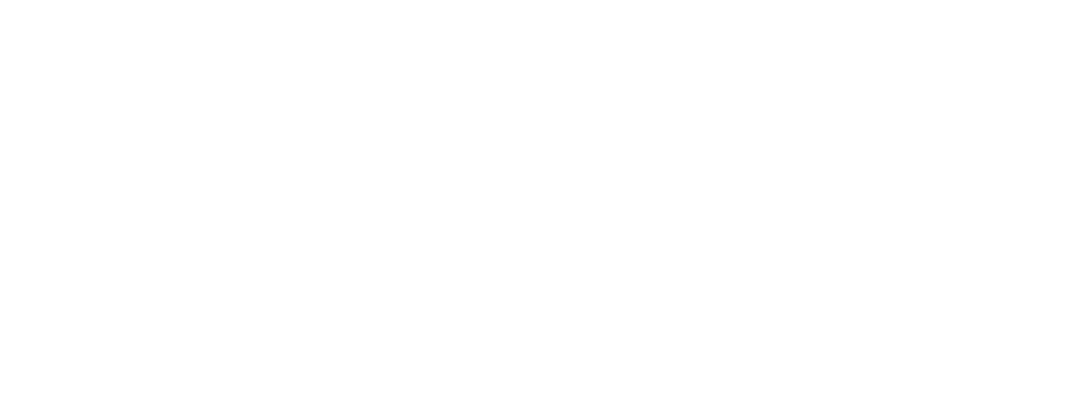 light logo
